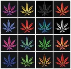 Le foglie di Cannabis