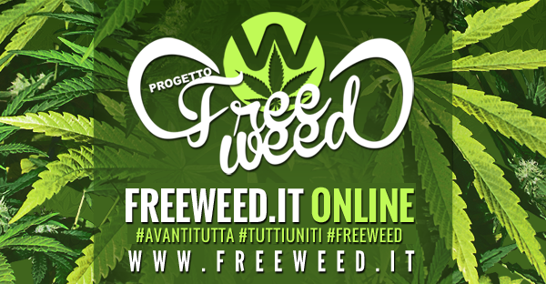 Freeweed.it riapre! #AvantiTutta #TuttiUniti #FreeWeed