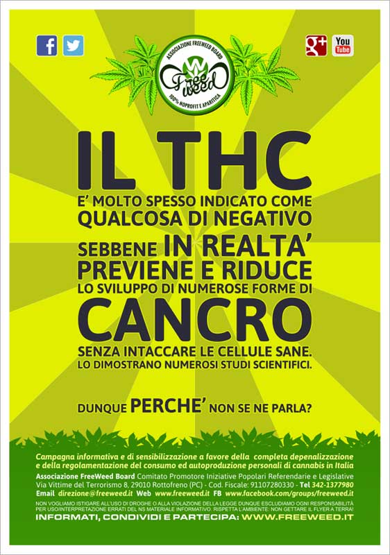 Cannabis VS Cancro - Volantino A4 a colori - 03