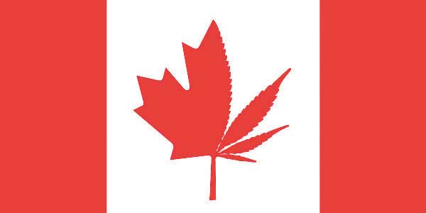 Canada: Alta Corte stabilisce che per il momento i pazienti possono continuare a coltivare la propria cannabis