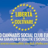 ENCOD Cannabis Social Club Europei
