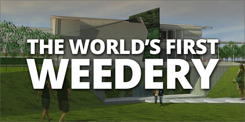 La Prima “Weedery” al Mondo è in Colorado