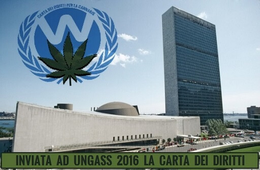 Inviata ad UNGASS 2016 la Carta dei Diritti per la Cannabis