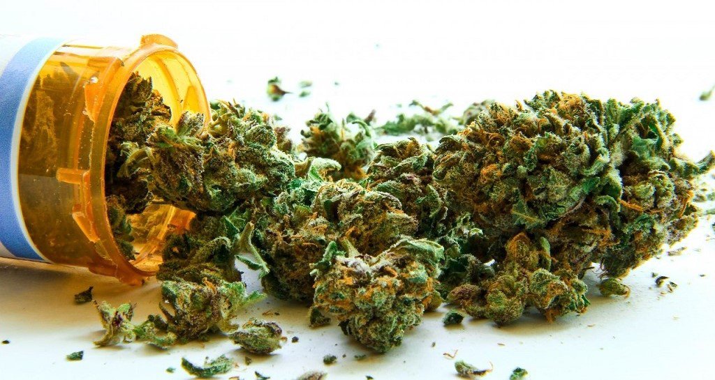 E’ pronta la “Medical Cannabis di Stato”: da ottobre 2016 in farmacia