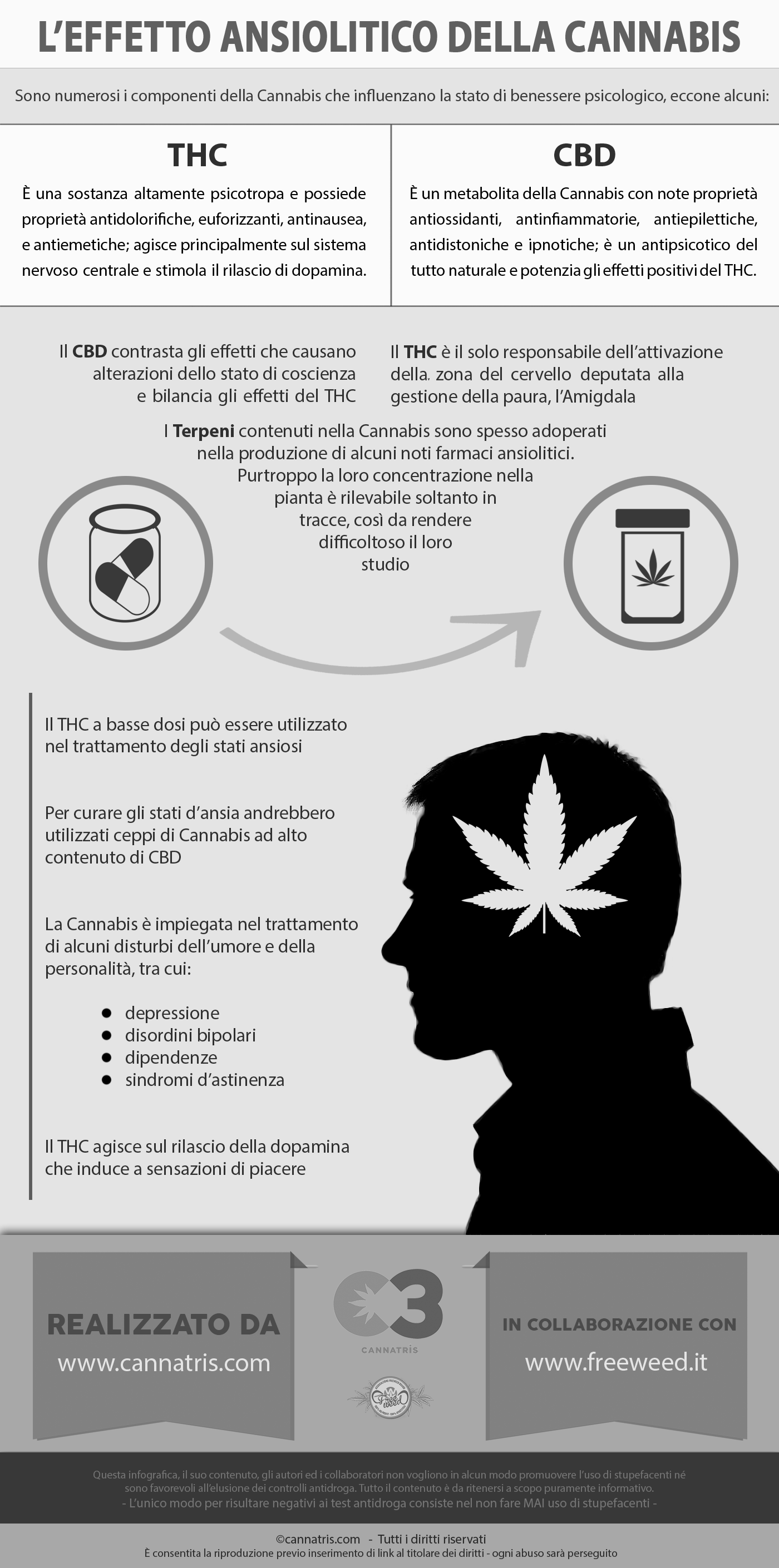 Infografica: L’effetto Ansiolitico della Cannabis