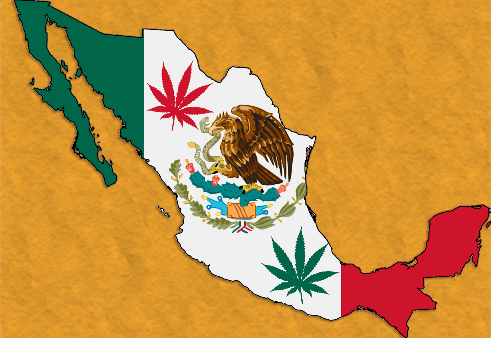 Il Senato del Messico approva la legislazione sulla Cannabis Medica