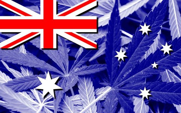 Cambio di Governo in Nuova Zelanda: si procederà con la legalizzazione?