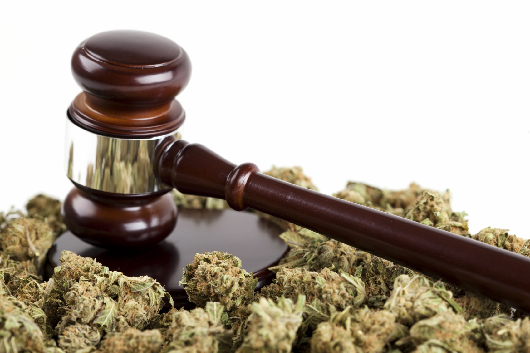 Nuovo Studio: Leggi più restrittive portano a maggiori probabilità di uso di cannabis negli adolescenti