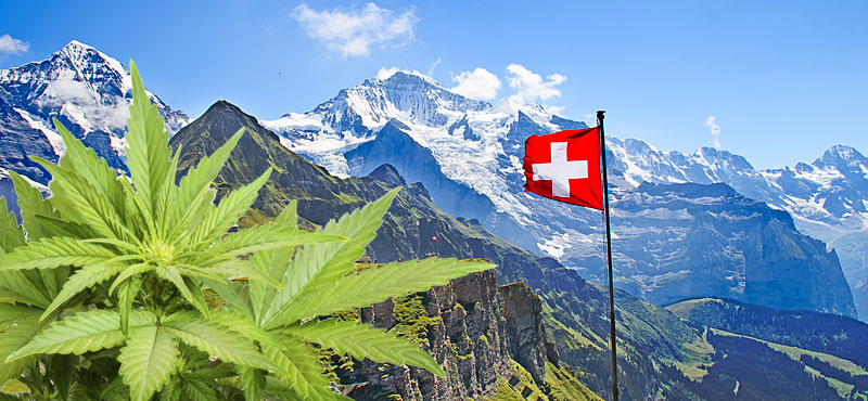 Svizzera: 5.000 persone saranno autorizzate ad usare cannabis nel progetto pilota